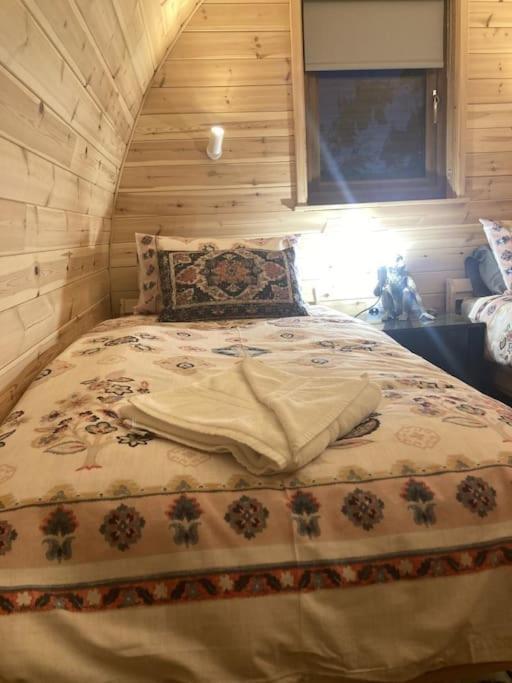 Eco-Friendly Cabins Cabin 1 Norton Disney Dış mekan fotoğraf